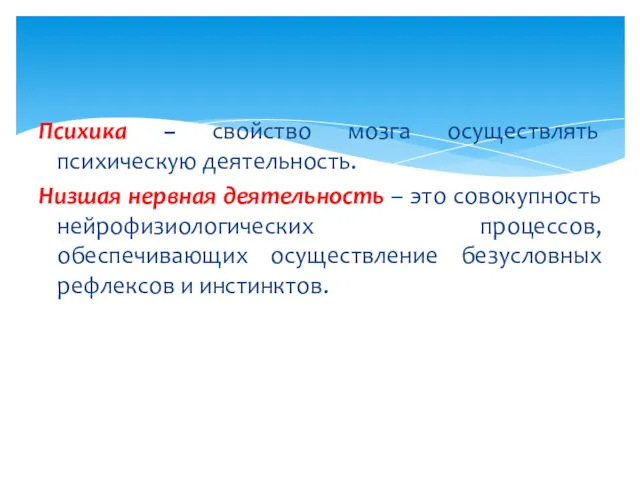 Психика – свойство мозга осуществлять психическую деятельность. Низшая нервная деятельность