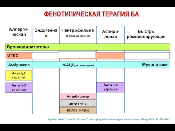 ФЕНОТИПИЧЕСКАЯ ТЕРАПИЯ БА Аллерги-ческая Нейтрофильная (Астма-ХОБЛ) Быстро ремоделирующая Бронходилататоры ИГКС Муколитики Анти IgE