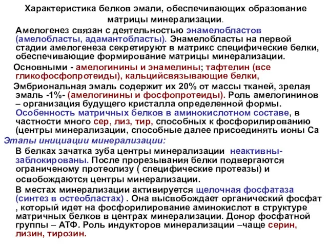 Характеристика белков эмали, обеспечивающих образование матрицы минерализации. Амелогенез связан с