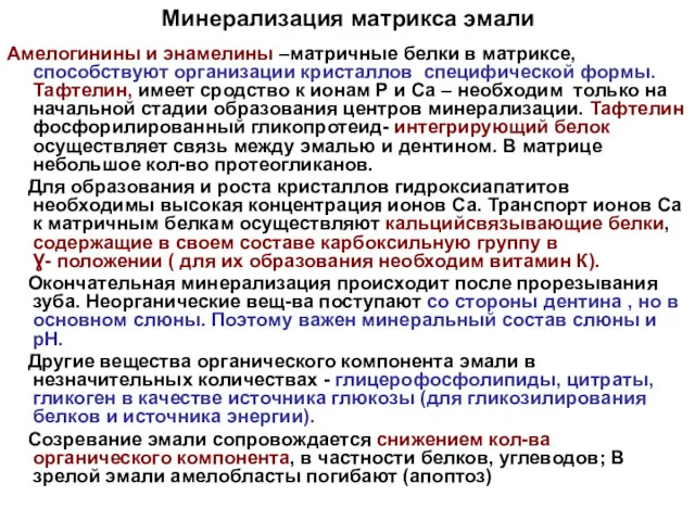 Минерализация матрикса эмали Амелогинины и энамелины –матричные белки в матриксе,