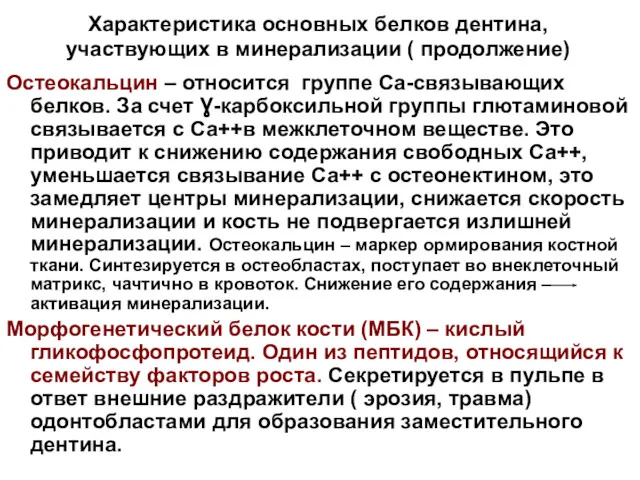 Характеристика основных белков дентина, участвующих в минерализации ( продолжение) Остеокальцин