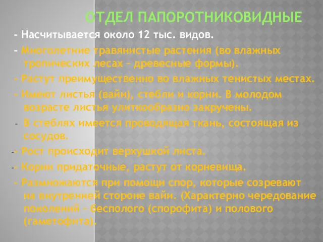 ОТДЕЛ ПАПОРОТНИКОВИДНЫЕ - Насчитывается около 12 тыс. видов. - Многолетние