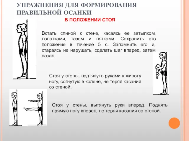 УПРАЖНЕНИЯ ДЛЯ ФОРМИРОВАНИЯ ПРАВИЛЬНОЙ ОСАНКИ Встать спиной к стене, касаясь