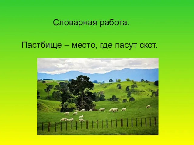 Словарная работа. Пастбище – место, где пасут скот.