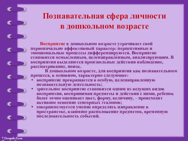 Познавательная сфера личности в дошкольном возрасте Восприятие в дошкольном возрасте