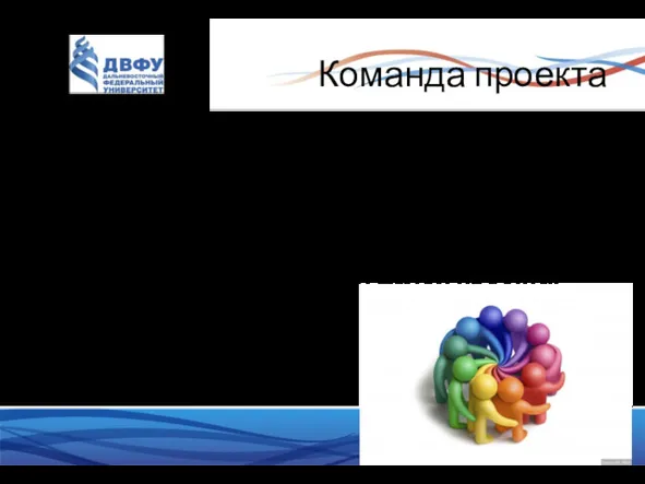 Команда проекта Команда проекта — временная группа специалистов, создаваемая на