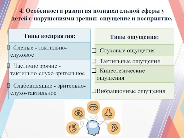 4. Особенности развития познавательной сферы у детей с нарушениями зрения: ощущение и восприятие.