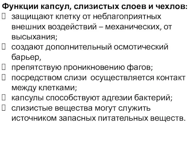 Функции капсул, слизистых слоев и чехлов: защищают клетку от неблагоприятных