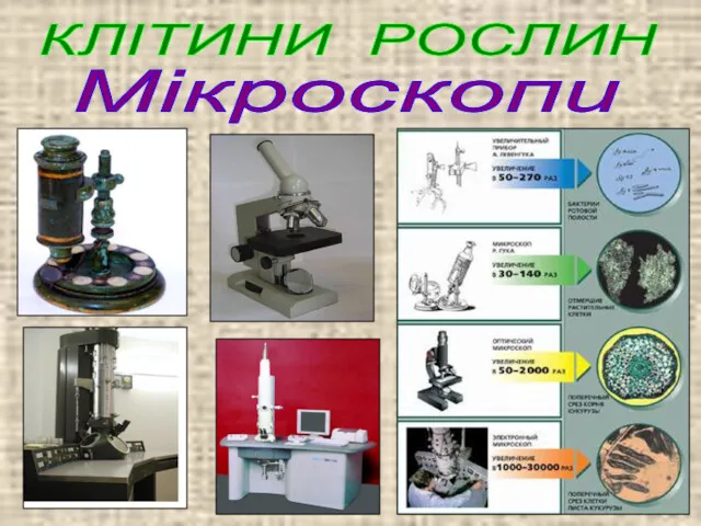 КЛІТИНИ РОСЛИН Мікроскопи