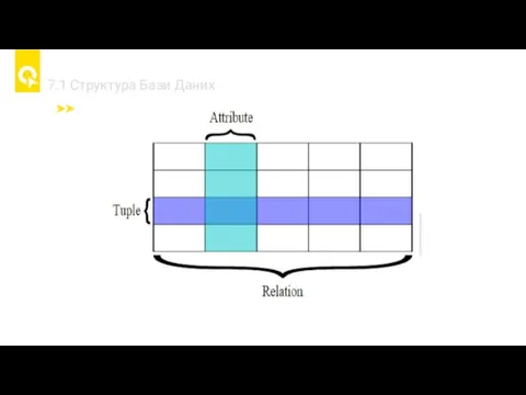 7.1 Cтруктура Бази Даних