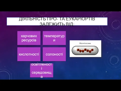 ДІЯЛЬНІСТЬ ПРО- ТА ЕУКАРІОРТІВ ЗАЛЕЖИТЬ ВІД: