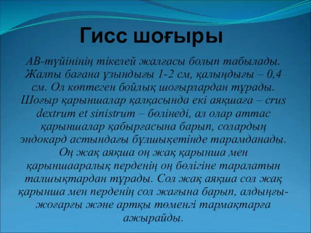 Гисс шоғыры АВ-түйінінің тікелей жалғасы болып табылады. Жалпы бағана ұзындығы