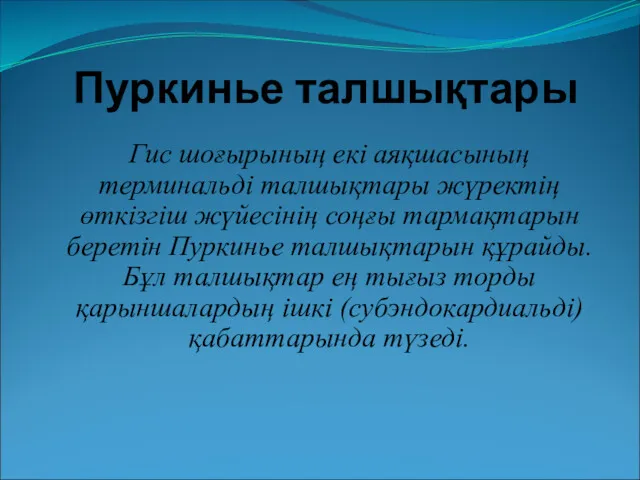 Пуркинье талшықтары Гис шоғырының екі аяқшасының терминальді талшықтары жүректің өткізгіш