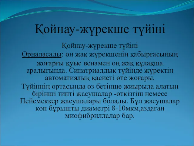 Қойнау-жүрекше түйіні Қойнау-жүрекше түйіні Орналасады: оң жақ жүрекшенің қабырғасының жоғарғы