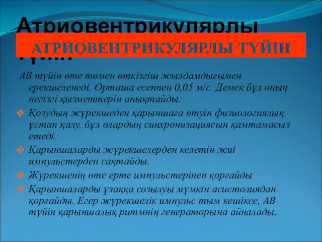 Атриовентрикулярлы түйін АВ түйін өте төмен өткізгіш жылдамдығымен ерекшеленеді. Орташа