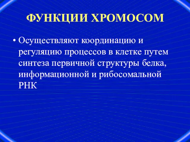 ФУНКЦИИ ХРОМОСОМ Осуществляют координацию и регуляцию процессов в клетке путем