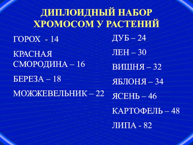 ДИПЛОИДНЫЙ НАБОР ХРОМОСОМ У РАСТЕНИЙ ГОРОХ - 14 КРАСНАЯ СМОРОДИНА