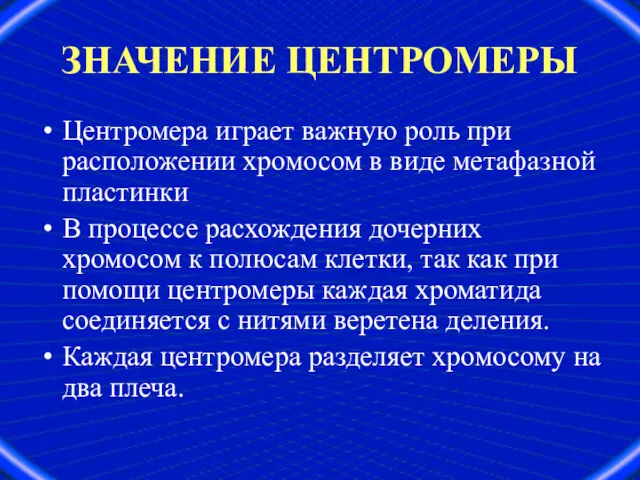 ЗНАЧЕНИЕ ЦЕНТРОМЕРЫ Центромера играет важную роль при расположении хромосом в