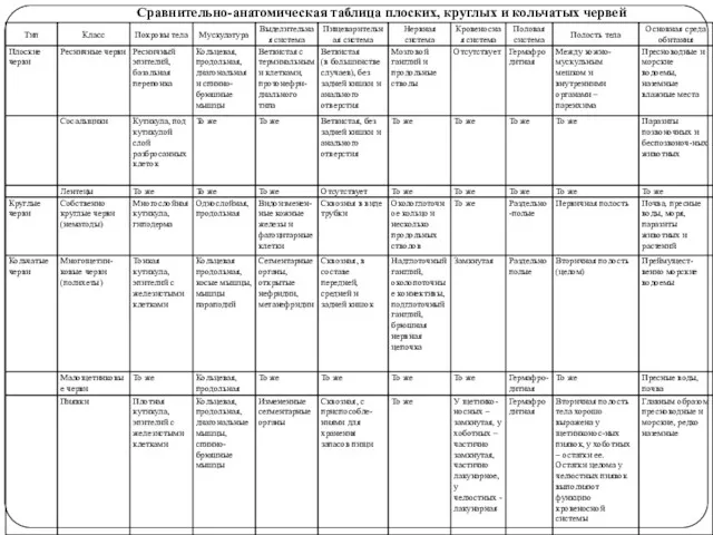 Сравнительно-анатомическая таблица плоских, круглых и кольчатых червей
