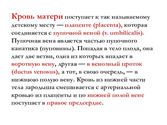 Кровь матери поступает к так называемому детскому месту — плаценте