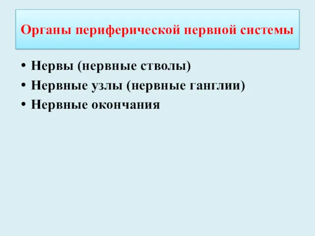 Нервы (нервные стволы) Нервные узлы (нервные ганглии) Нервные окончания Органы периферической нервной системы