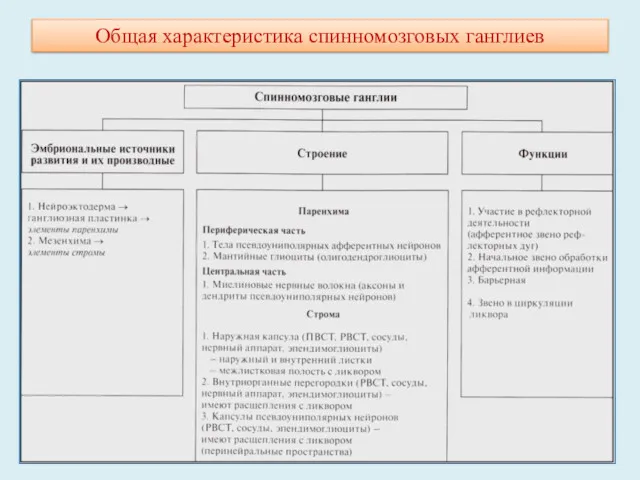 Общая характеристика спинномозговых ганглиев