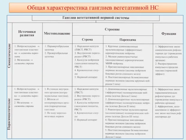 Общая характеристика ганглиев вегетативной НС