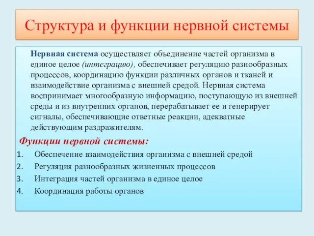 Структура и функции нервной системы Нервная система осуществляет объединение частей