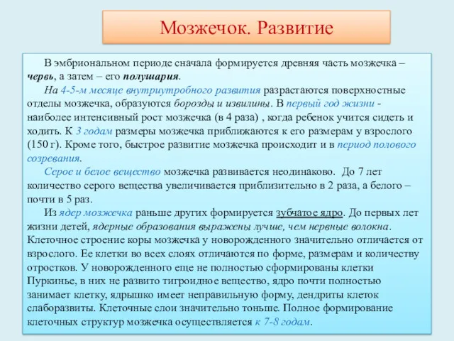 В эмбриональном периоде сначала формируется древняя часть мозжечка – червь,