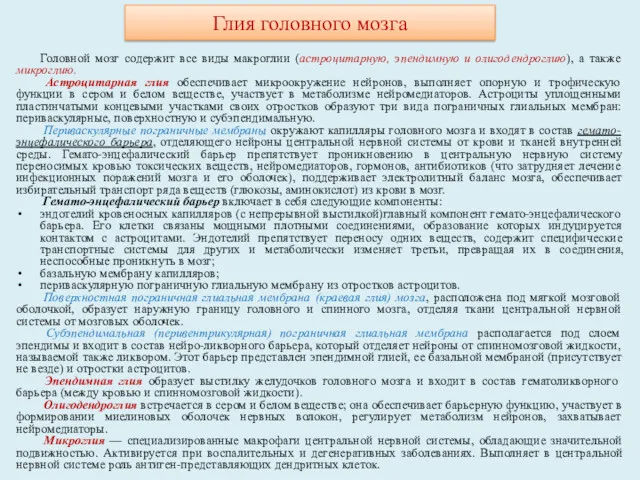 Глия головного мозга Головной мозг содержит все виды макроглии (астроцитарную,