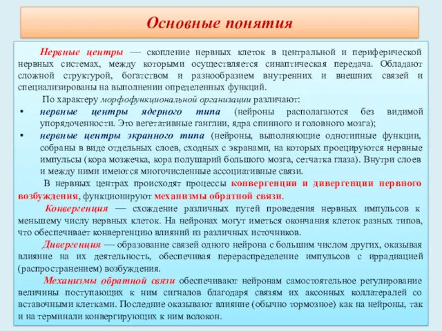 Нервные центры — скопление нервных клеток в центральной и периферической