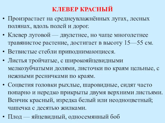 КЛЕВЕР КРАСНЫЙ Произрастает на среднеувлажнённых лугах, лесных полянах, вдоль полей