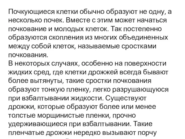 Почкующиеся клетки обычно образуют не одну, а несколько почек. Вместе