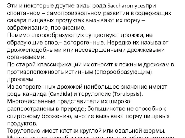 Эти и некоторые другие виды рода Saccharomycesпри спонтанном – самопроизвольном