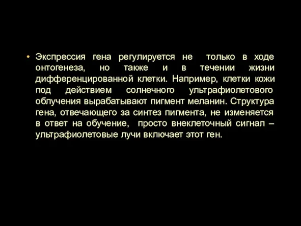 Экспрессия гена регулируется не только в ходе онтогенеза, но также