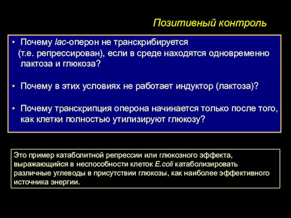 Позитивный контроль Почему lac-оперон не транскрибируется (т.е. репрессирован), если в