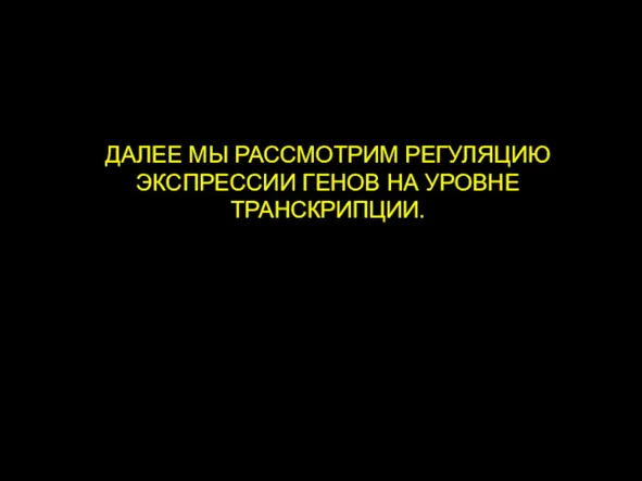 ДАЛЕЕ МЫ РАССМОТРИМ РЕГУЛЯЦИЮ ЭКСПРЕССИИ ГЕНОВ НА УРОВНЕ ТРАНСКРИПЦИИ.