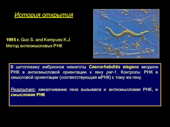 История открытия 1995 г. Guo S. and Kempues K.J. Метод