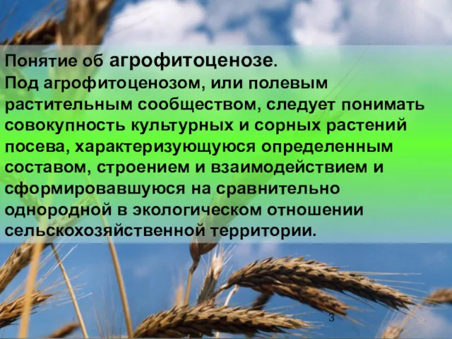 Понятие об агрофитоценозе. Под агрофитоценозом, или полевым растительным сообществом, следует