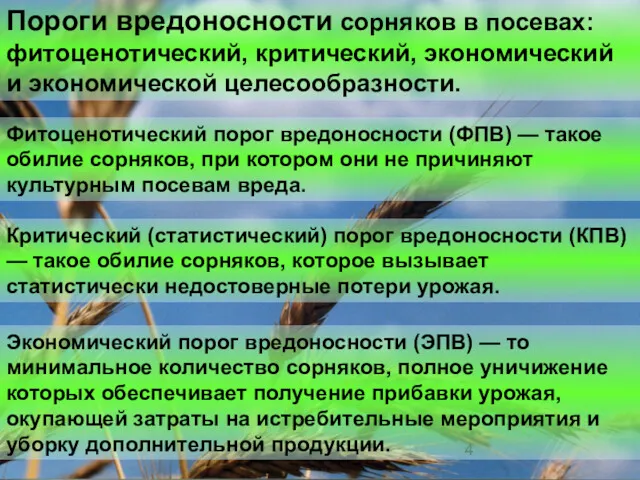 Пороги вредоносности сорняков в посевах: фитоценотический, критический, экономический и экономической