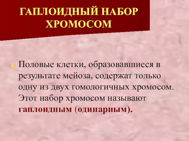 ГАПЛОИДНЫЙ НАБОР ХРОМОСОМ Половые клетки, образовавшиеся в результате мейоза, содержат