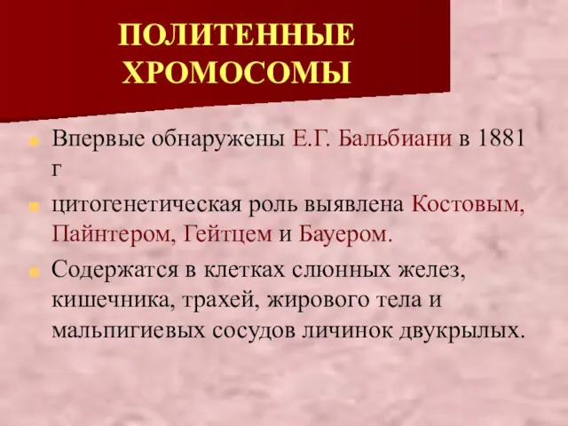 ПОЛИТЕННЫЕ ХРОМОСОМЫ Впервые обнаружены Е.Г. Бальбиани в 1881 г цитогенетическая