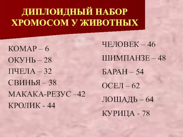 ДИПЛОИДНЫЙ НАБОР ХРОМОСОМ У ЖИВОТНЫХ КОМАР – 6 ОКУНЬ –