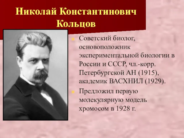 Николай Константинович Кольцов Советский биолог, основоположник экспериментальной биологии в России