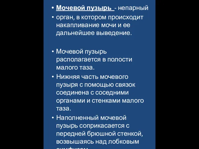 Мочевой пузырь - непарный орган, в котором происходит накапливание мочи