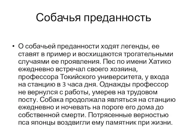 Собачья преданность О собачьей преданности ходят легенды, ее ставят в