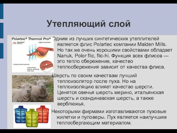 Утепляющий слой Одним из лучших синтетических утеплителей является флис Polartec