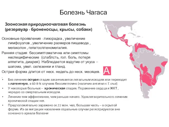 Болезнь Чагаса Зоонозная природноочаговая болезнь (резервуар - броненосцы, крысы, собаки)