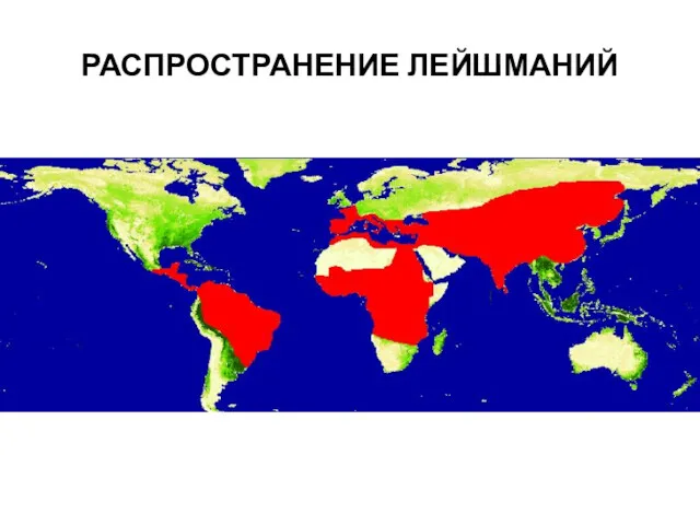 РАСПРОСТРАНЕНИЕ ЛЕЙШМАНИЙ