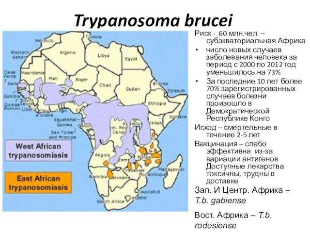 Trypanosoma brucei Риск - 60 млн.чел. – субэкваториальная Африка число